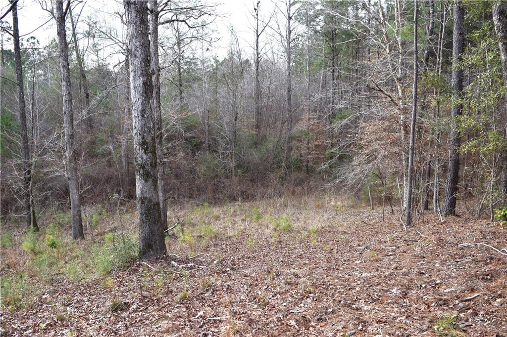 0 Lehmann Road Roxie, MS 39661 - Photo 11 of 23 Gallery Image 11