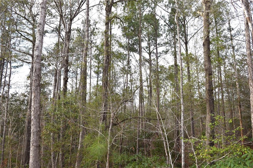 0 Lehmann Road Roxie, MS 39661 - Photo 12 of 23 Gallery Image 12