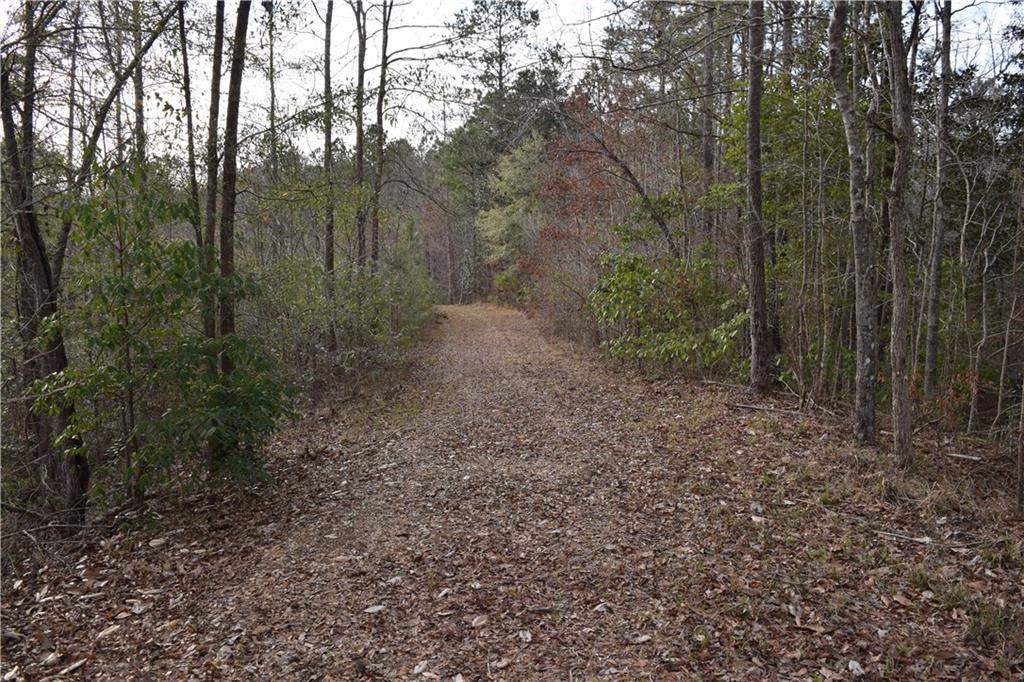 0 Lehmann Road Roxie, MS 39661 - Photo 13 of 23 Gallery Image 13
