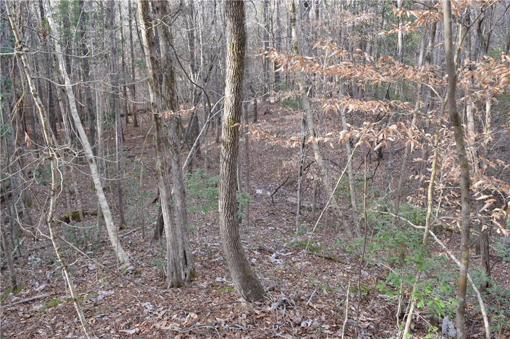 0 Lehmann Road Roxie, MS 39661 - Photo 14 of 23 Gallery Image 14