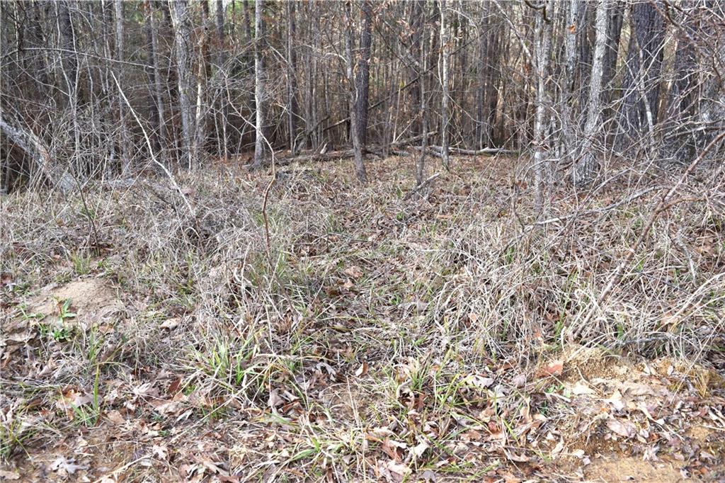 0 Lehmann Road Roxie, MS 39661 - Photo 15 of 23 Gallery Image 15