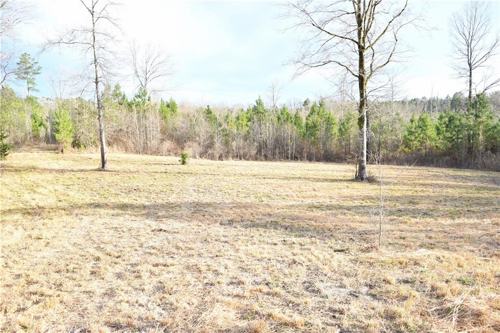 0 Lehmann Road Roxie, MS 39661 - Photo 18 of 23 Gallery Image 18