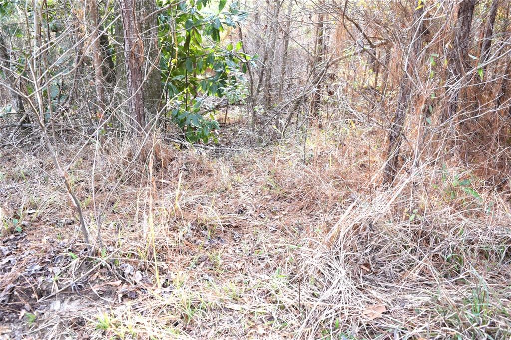 0 Lehmann Road Roxie, MS 39661 - Photo 20 of 23 Gallery Image 20