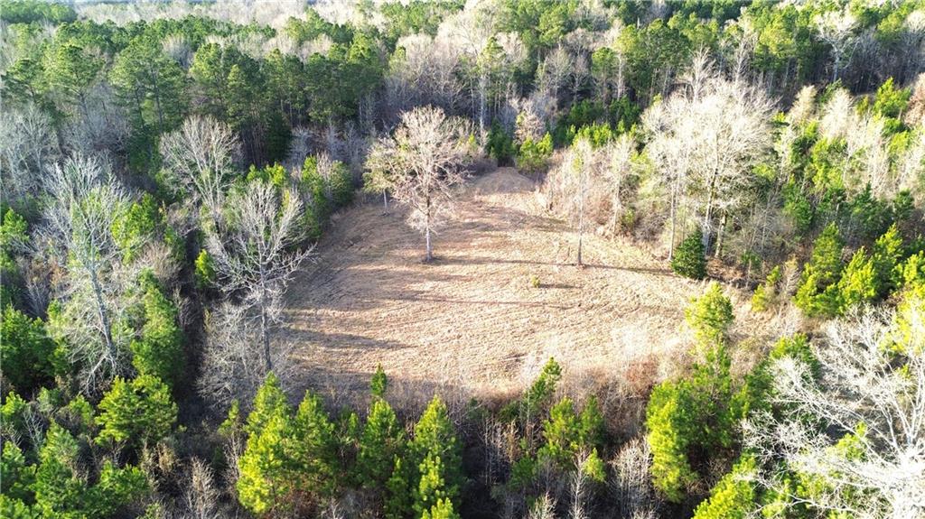 0 Lehmann Road Roxie, MS 39661 - Photo 2 of 23 Gallery Image 2