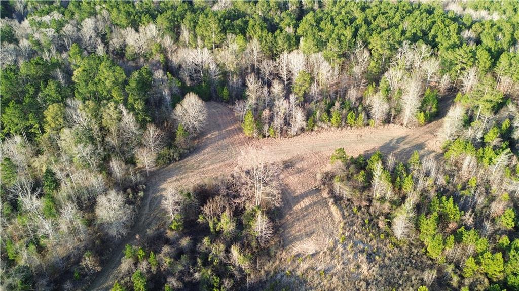0 Lehmann Road Roxie, MS 39661 - Photo 3 of 23 Gallery Image 3
