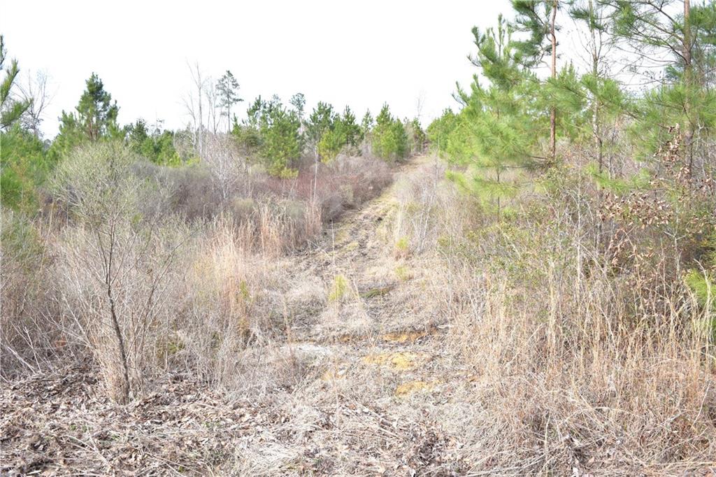 0 Lehmann Road Roxie, MS 39661 - Photo 4 of 23 Gallery Image 4