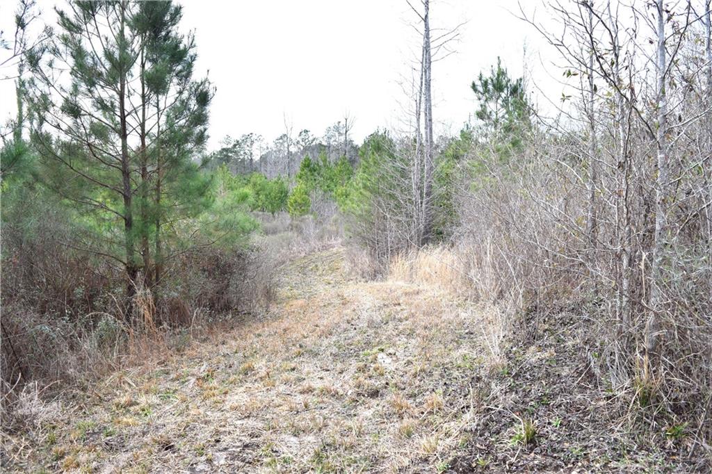 0 Lehmann Road Roxie, MS 39661 - Photo 6 of 23 Gallery Image 6