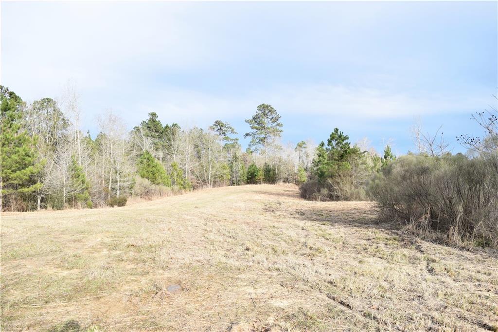 0 Lehmann Road Roxie, MS 39661 - Photo 8 of 23 Gallery Image 8
