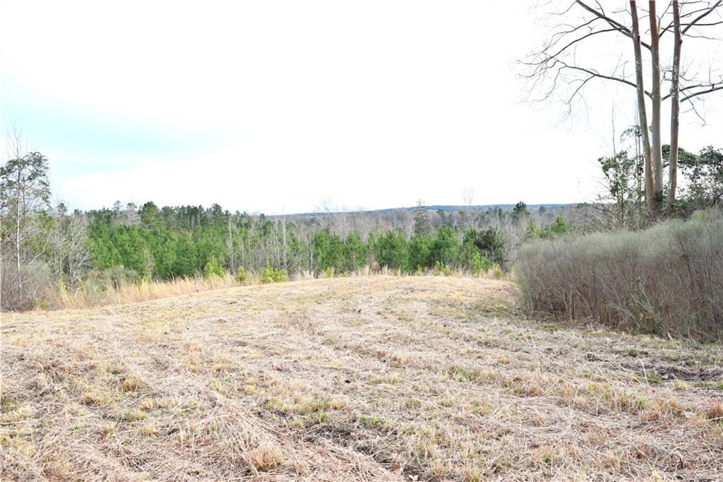 0 Lehmann Road Roxie, MS 39661 - Photo 9 of 23 Gallery Image 9
