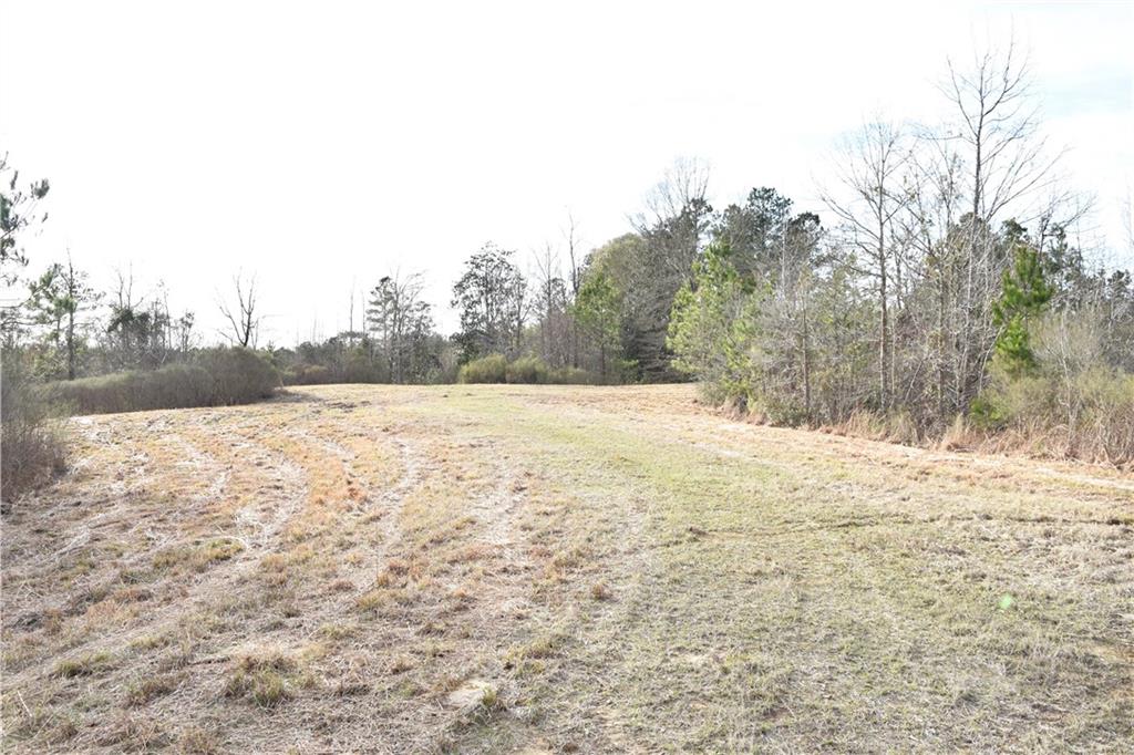 0 Lehmann Road Roxie, MS 39661 - Photo 10 of 23 Gallery Image 10