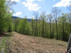0 Ebenville Road West Rupert, VT 05776 - Photo 5 of 5 Gallery Image 5