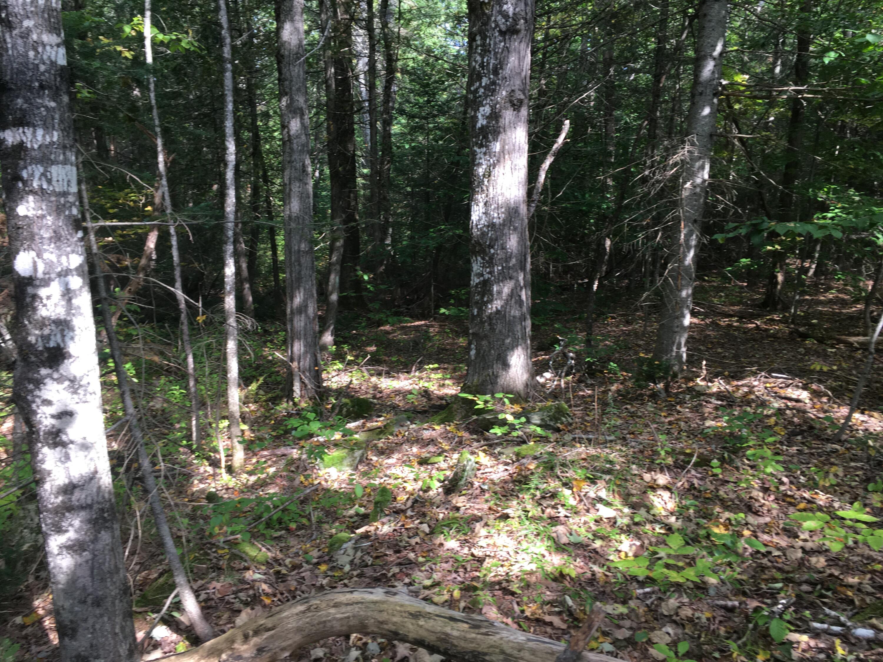 228 South Stagecoach Road Dover-Foxcroft, ME 04426 - Photo 19 of 25