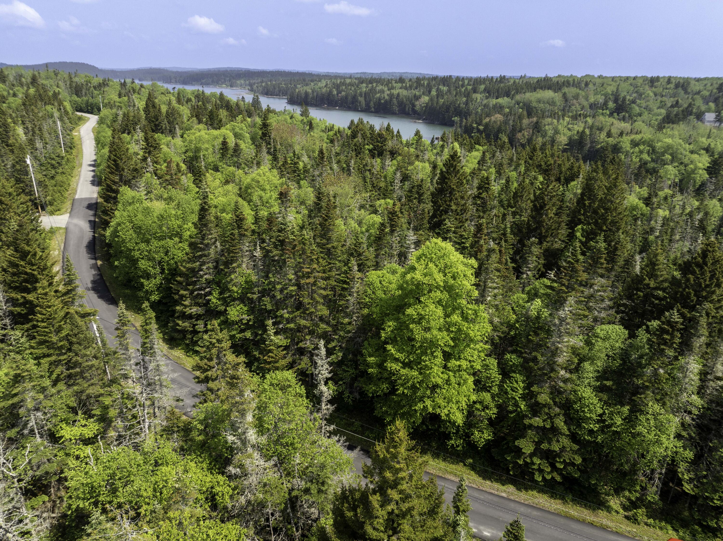 47 Yoho Head Road Machiasport, ME 04655 - Photo 3 of 25 70-47 Yoho Head Road Machiasport (1 of 3