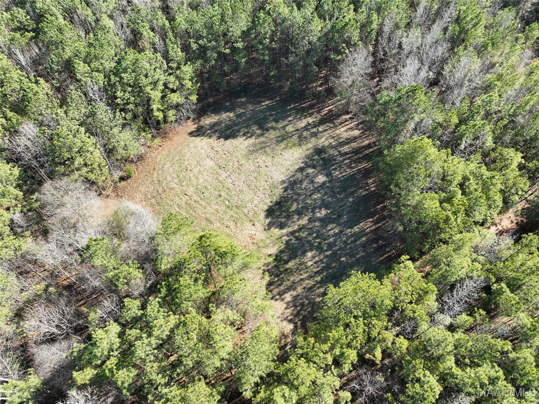 57 Pryor Bottom Road Marion, AL 36756 - Photo 3 of 18 Gallery Image 3