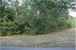 a view of a yard with large trees