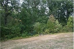 0 Oak Hill Road Lyles, TN 37098 - Photo 3 of 5 a view of a forest with trees