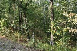 0 Oak Hill Road Lyles, TN 37098 - Photo 4 of 5 a view of a tree