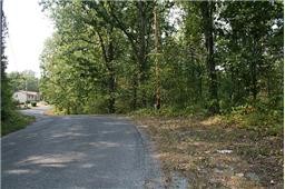 0 Oak Hill Road Lyles, TN 37098 - Photo 5 of 5 a view of a yard with plants and a tree