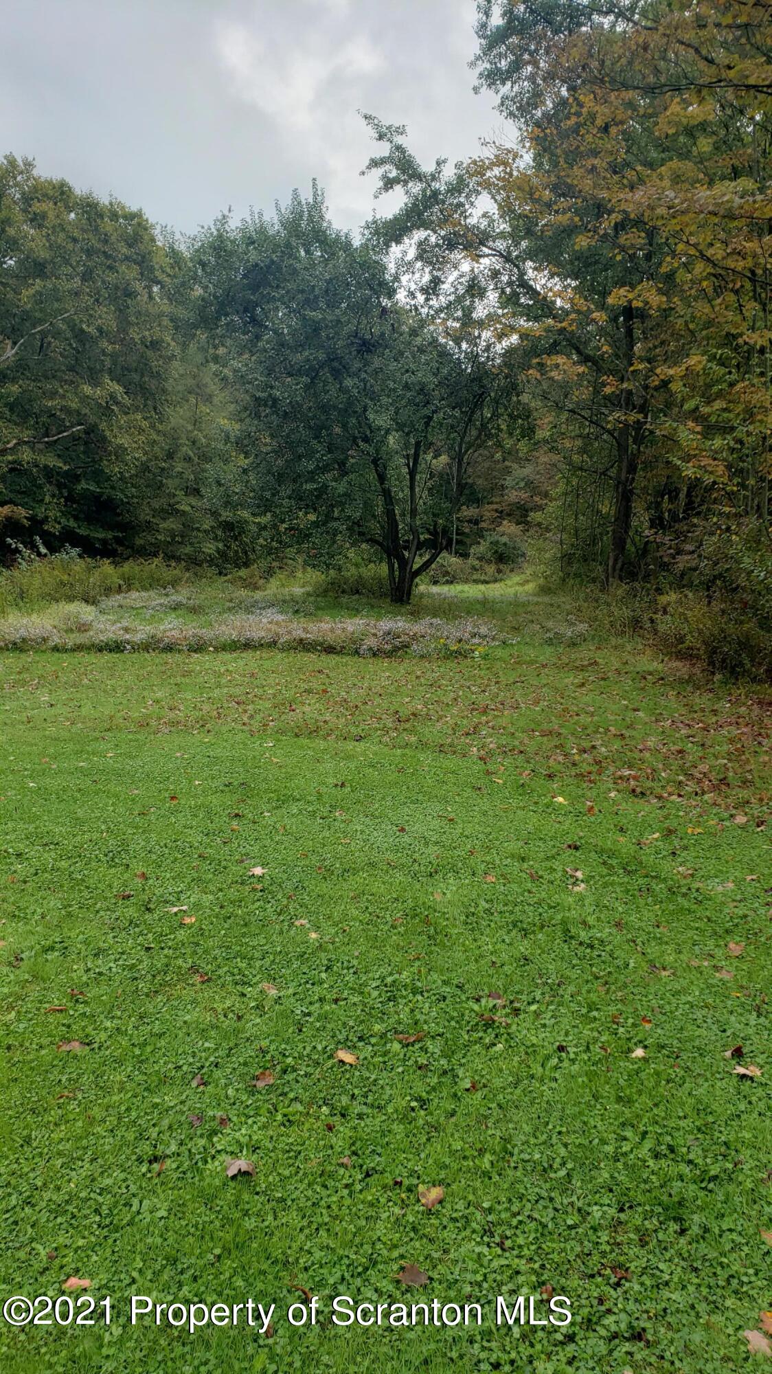 313 Marshal Squire Road Nicholson, PA 18446 - Photo 19 of 21 a view of outdoor space and yard