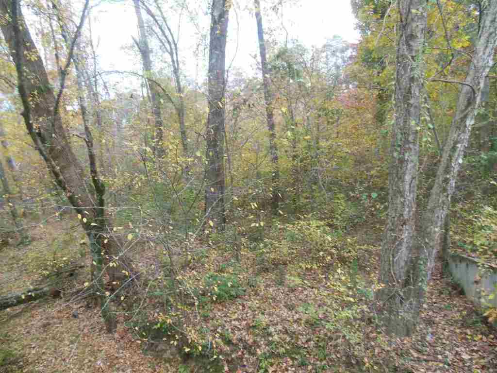 7.51-acres Turpin Road Iva, SC 29655 - Photo 2 of 5