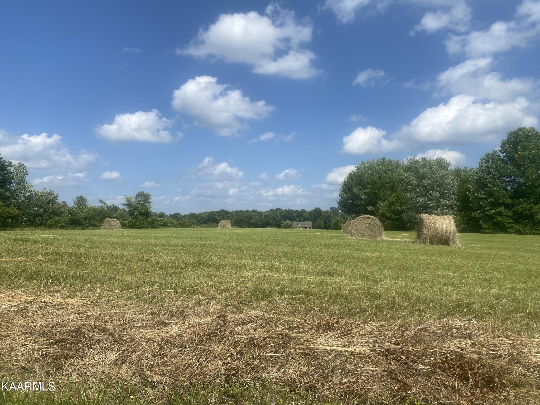 1210 Campground Road Clarkrange, TN 38553 - Photo 1 of 5 Gallery Image 1