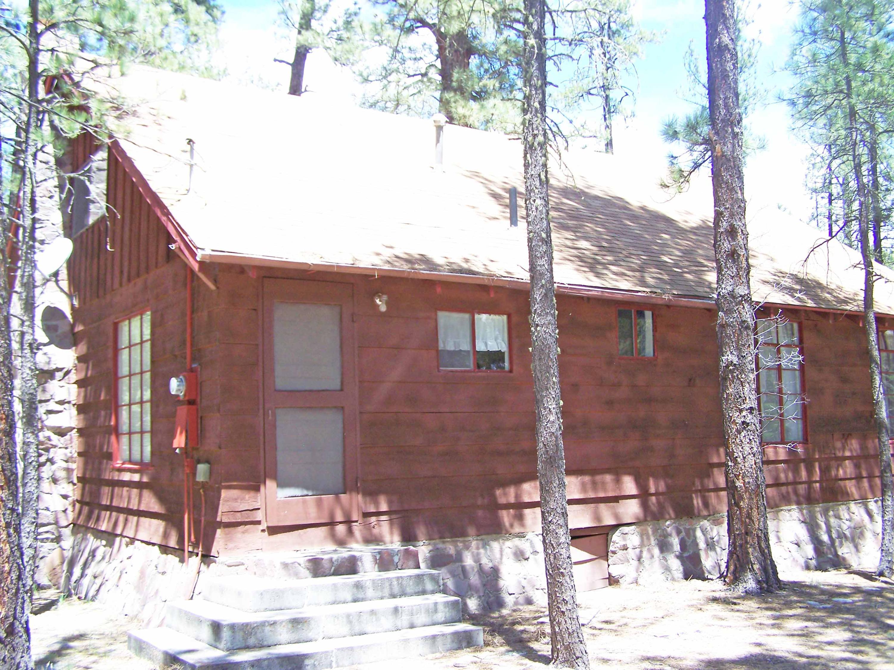 19 County Road Alpine, AZ 85920 - Photo 2 of 24