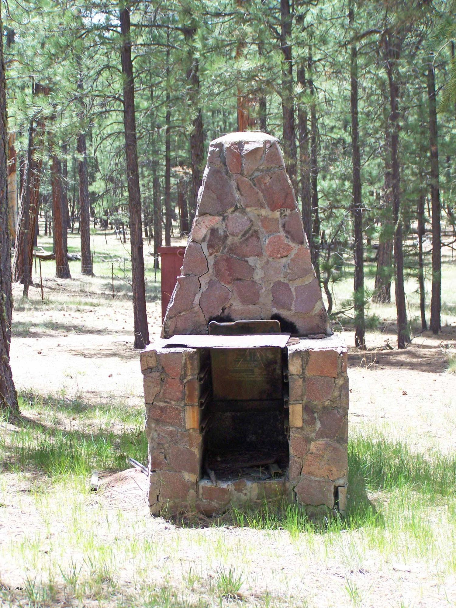 19 County Road Alpine, AZ 85920 - Photo 24 of 24