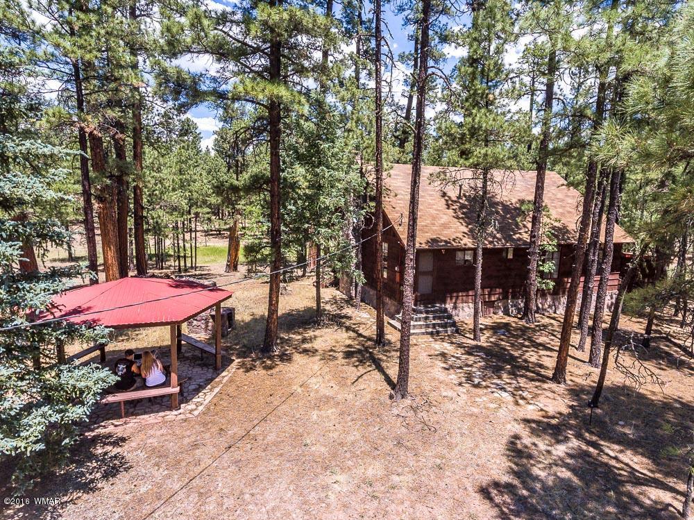19 County Road Alpine, AZ 85920 - Photo 6 of 24