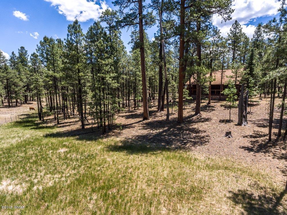 19 County Road Alpine, AZ 85920 - Photo 8 of 24