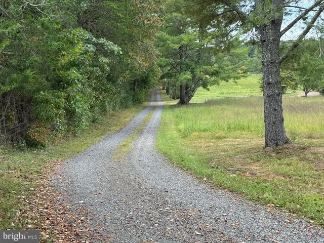 a view of a yard with a tree