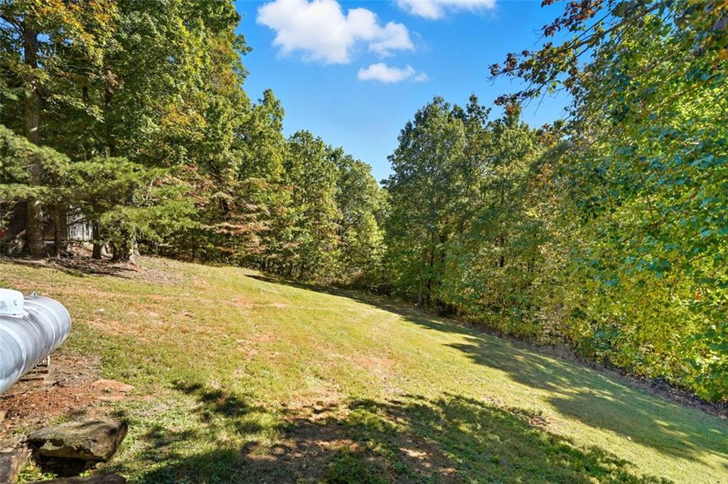 1512 Upper Sassafras Road Jasper, GA 30143 - Photo 33 of 35 a view of a yard