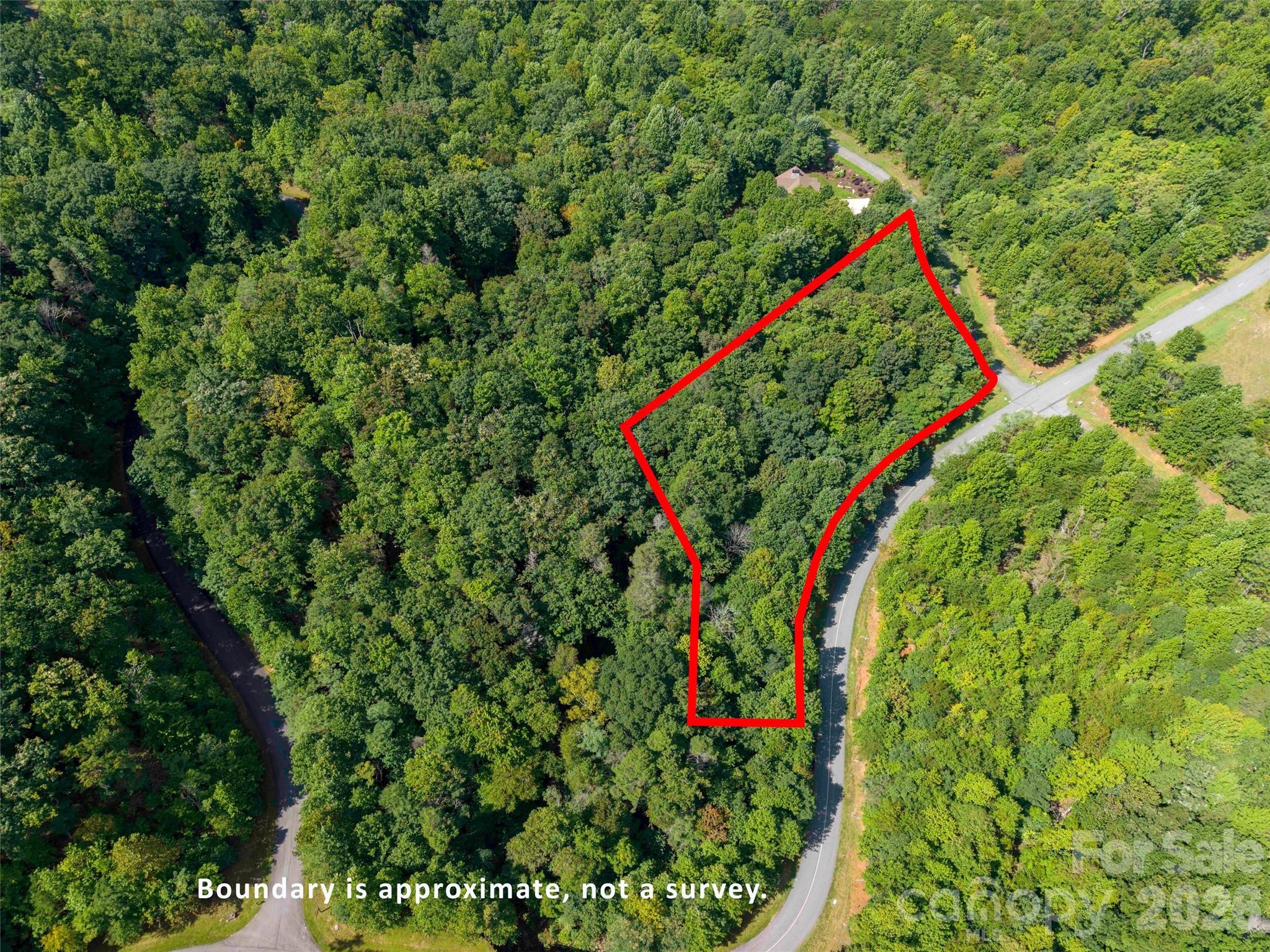 0 Deep Gap Farm Road East, Unit 2061 Mill Spring, NC 28756 - Photo 9 of 10 Gallery Image 9