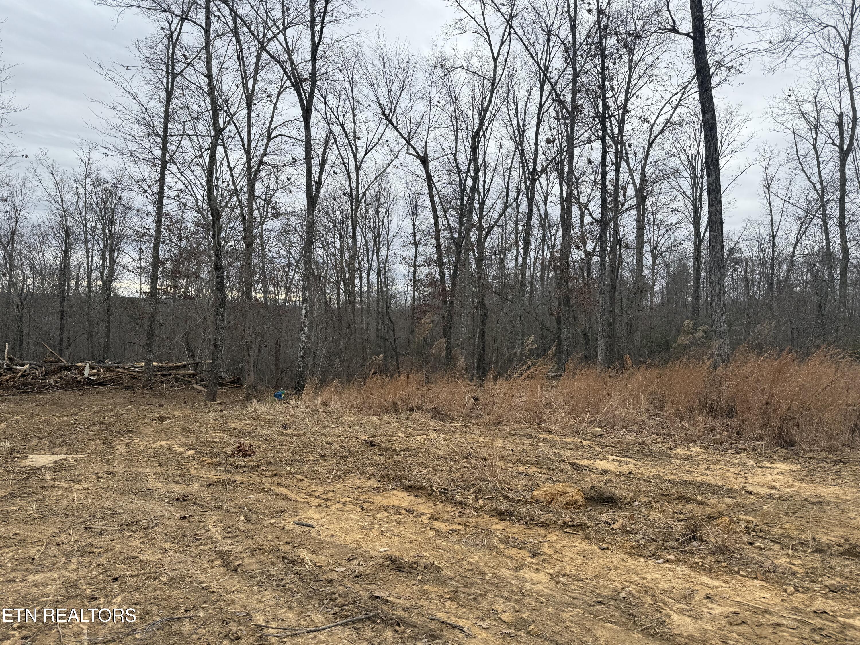 322 Deck Road Crossville, TN 38572 - Photo 11 of 16 IMG_2441