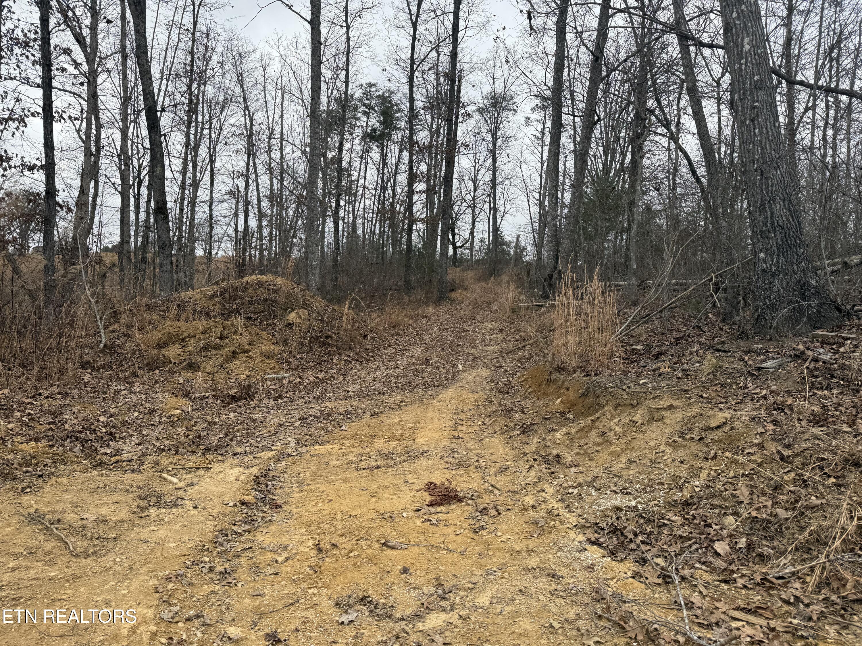 322 Deck Road Crossville, TN 38572 - Photo 12 of 16 IMG_2444