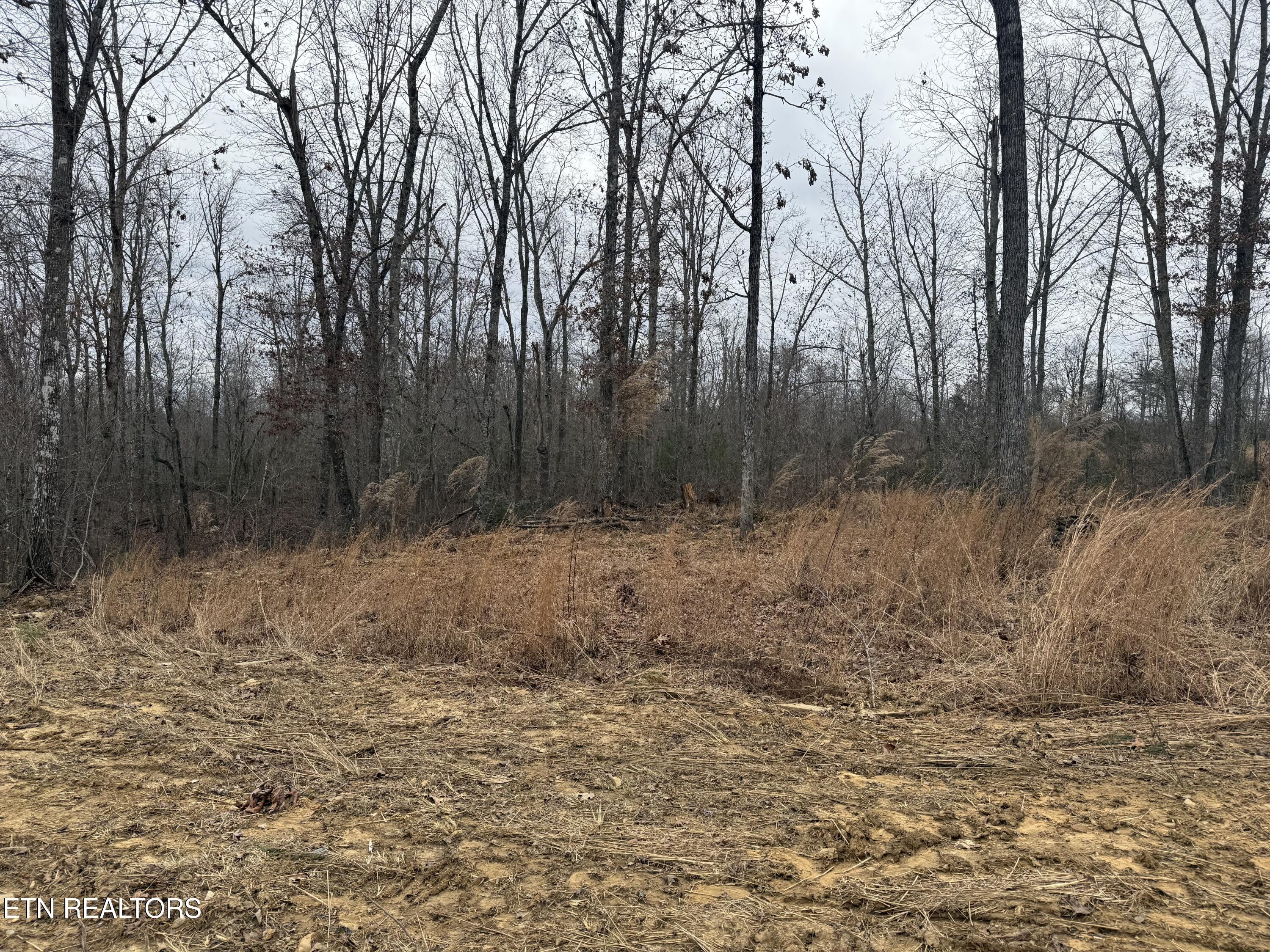 322 Deck Road Crossville, TN 38572 - Photo 13 of 16 IMG_2450