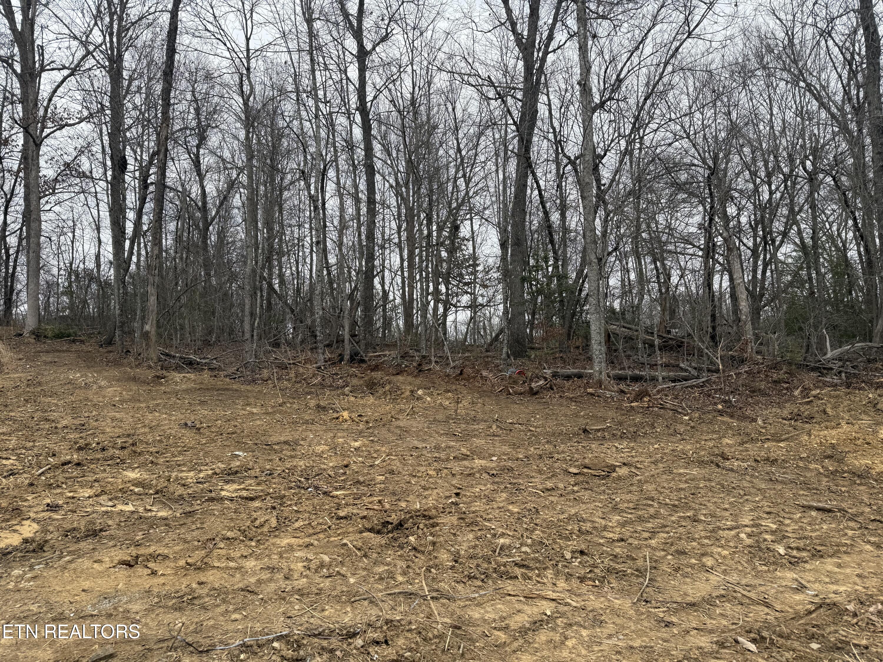 322 Deck Road Crossville, TN 38572 - Photo 14 of 16 IMG_2442