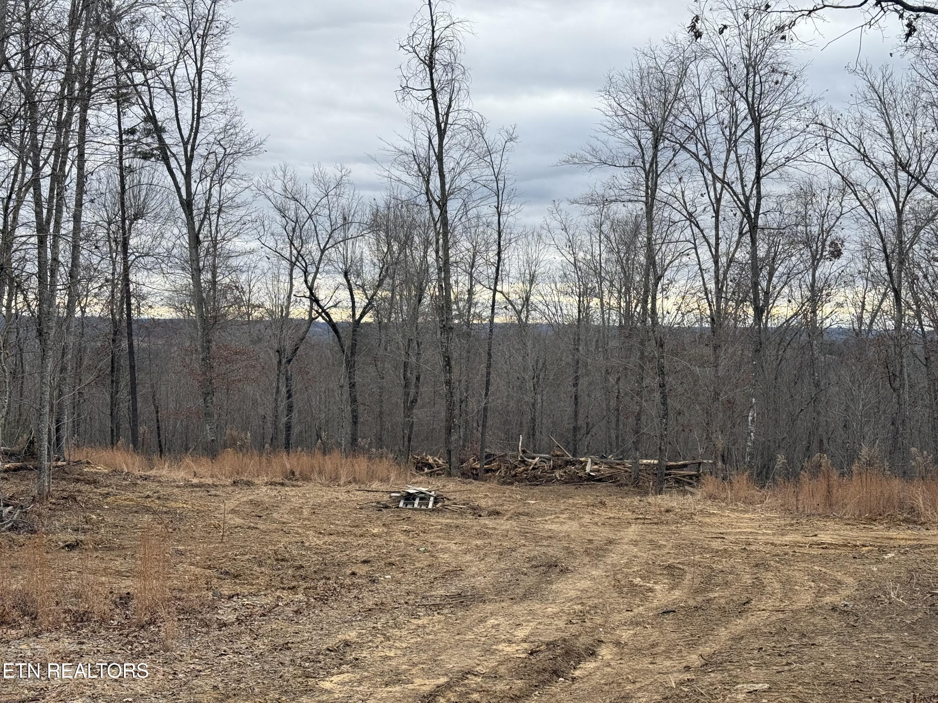 322 Deck Road Crossville, TN 38572 - Photo 2 of 16 IMG_2453