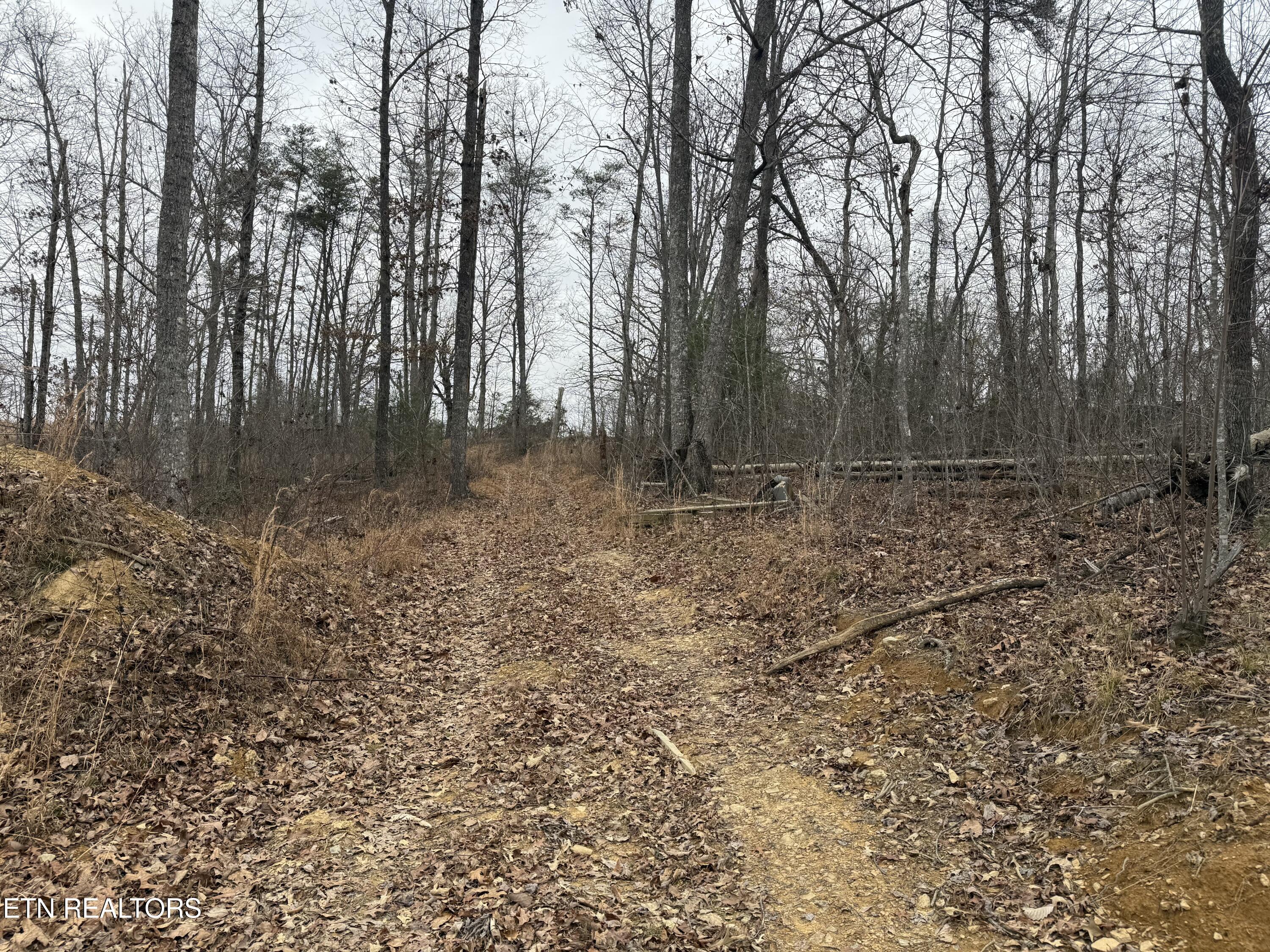 322 Deck Road Crossville, TN 38572 - Photo 3 of 16 IMG_2447