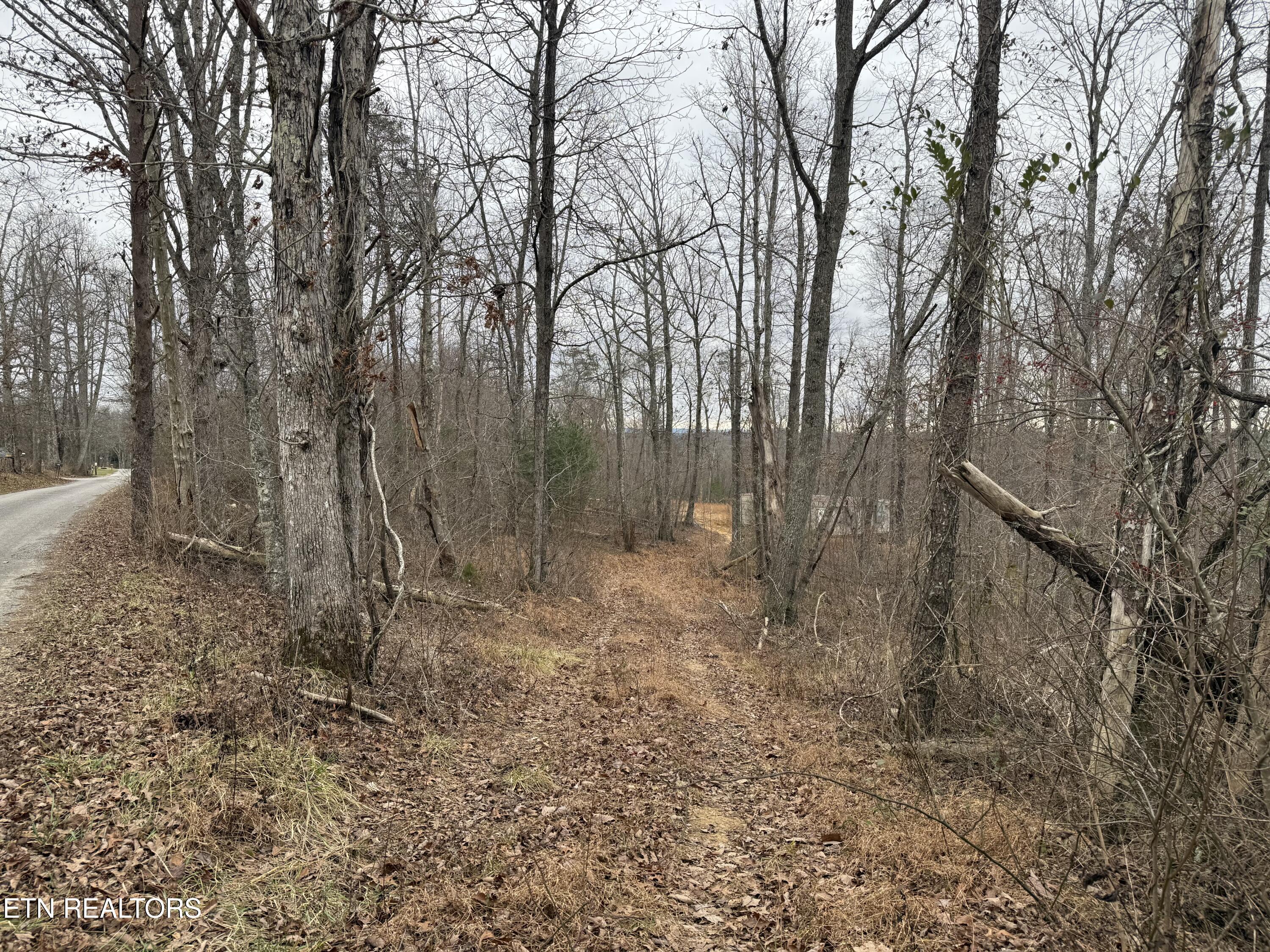 322 Deck Road Crossville, TN 38572 - Photo 4 of 16 IMG_2455