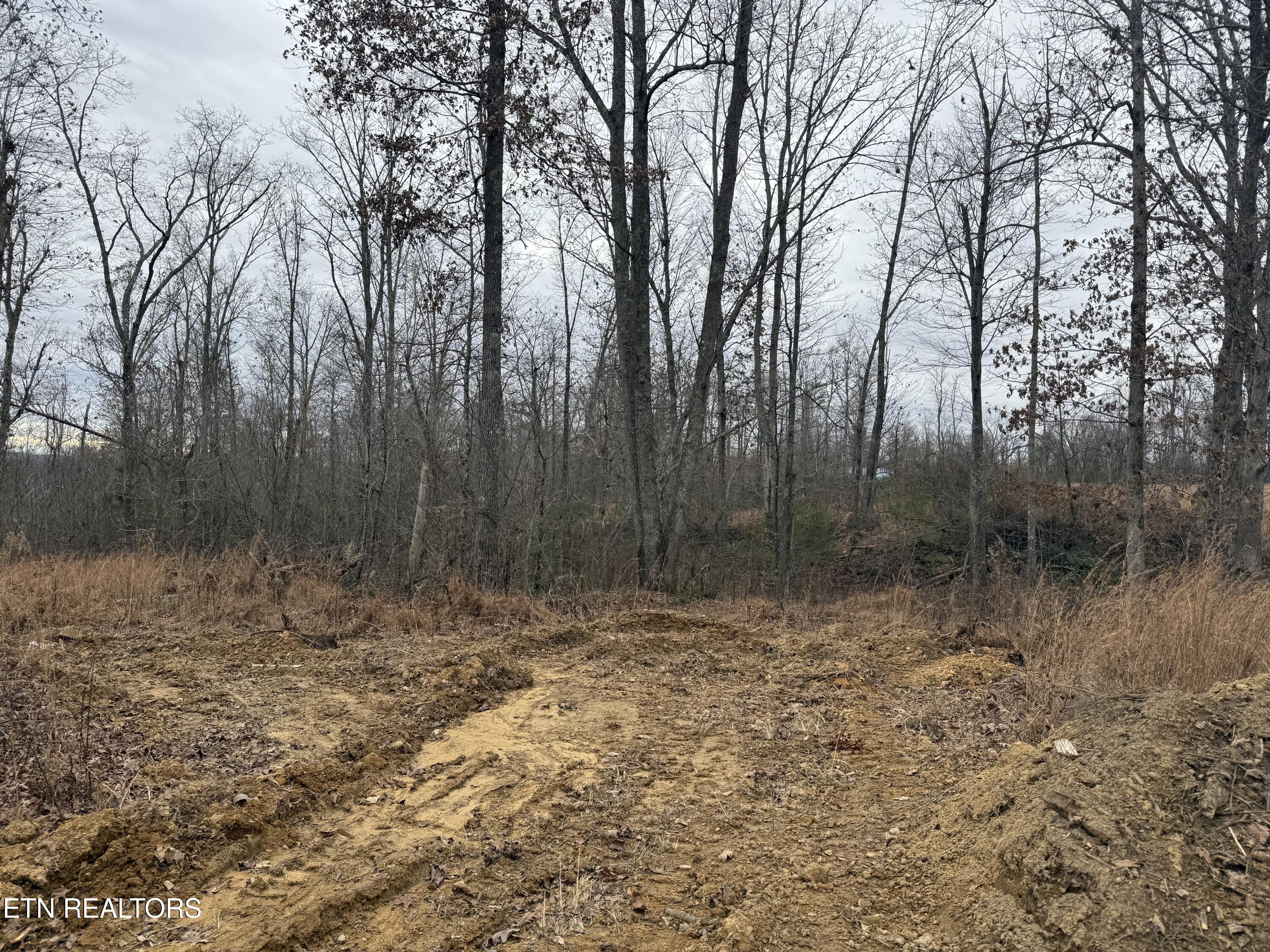 322 Deck Road Crossville, TN 38572 - Photo 5 of 16 IMG_2445