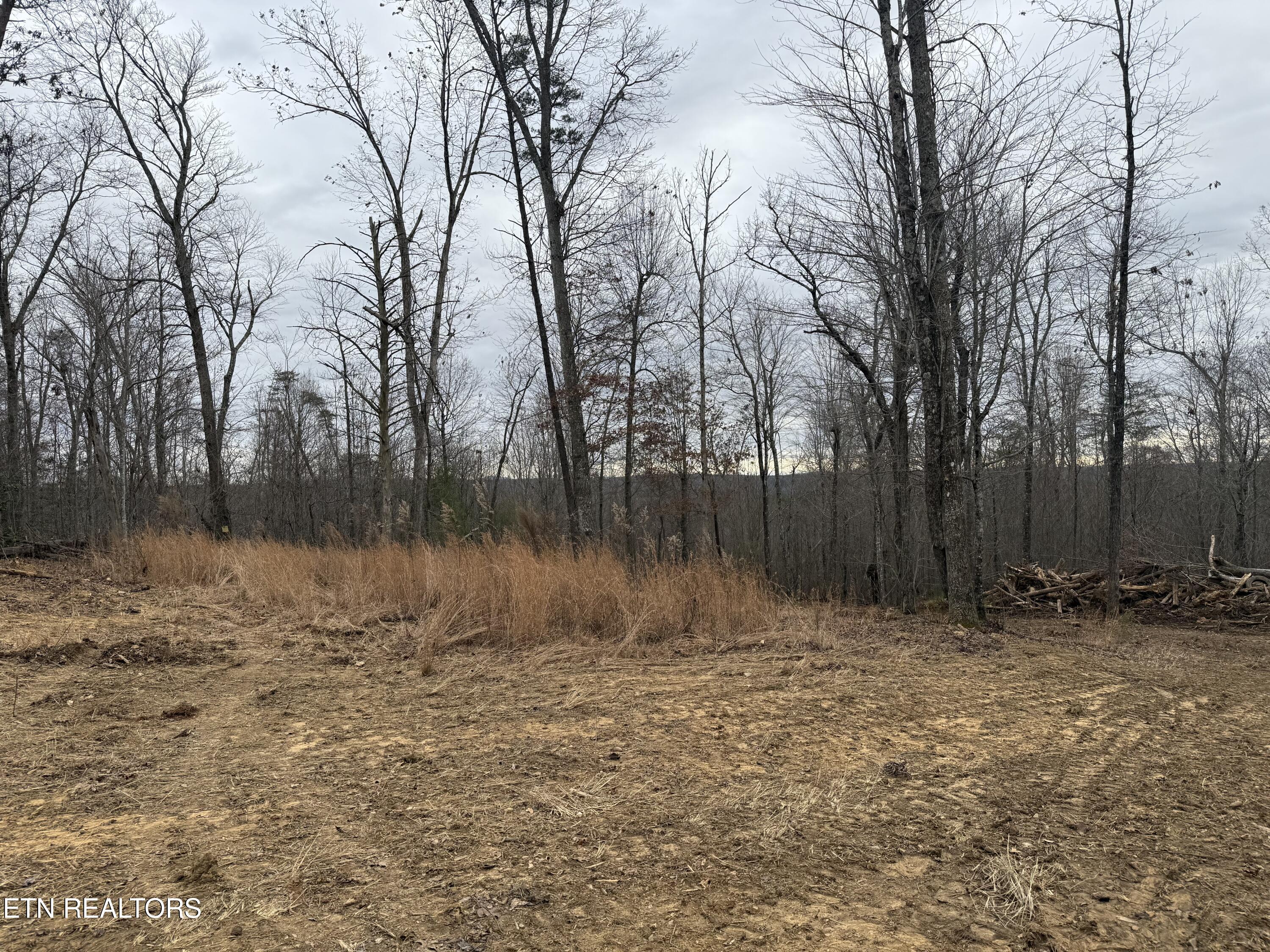 322 Deck Road Crossville, TN 38572 - Photo 6 of 16 IMG_2451