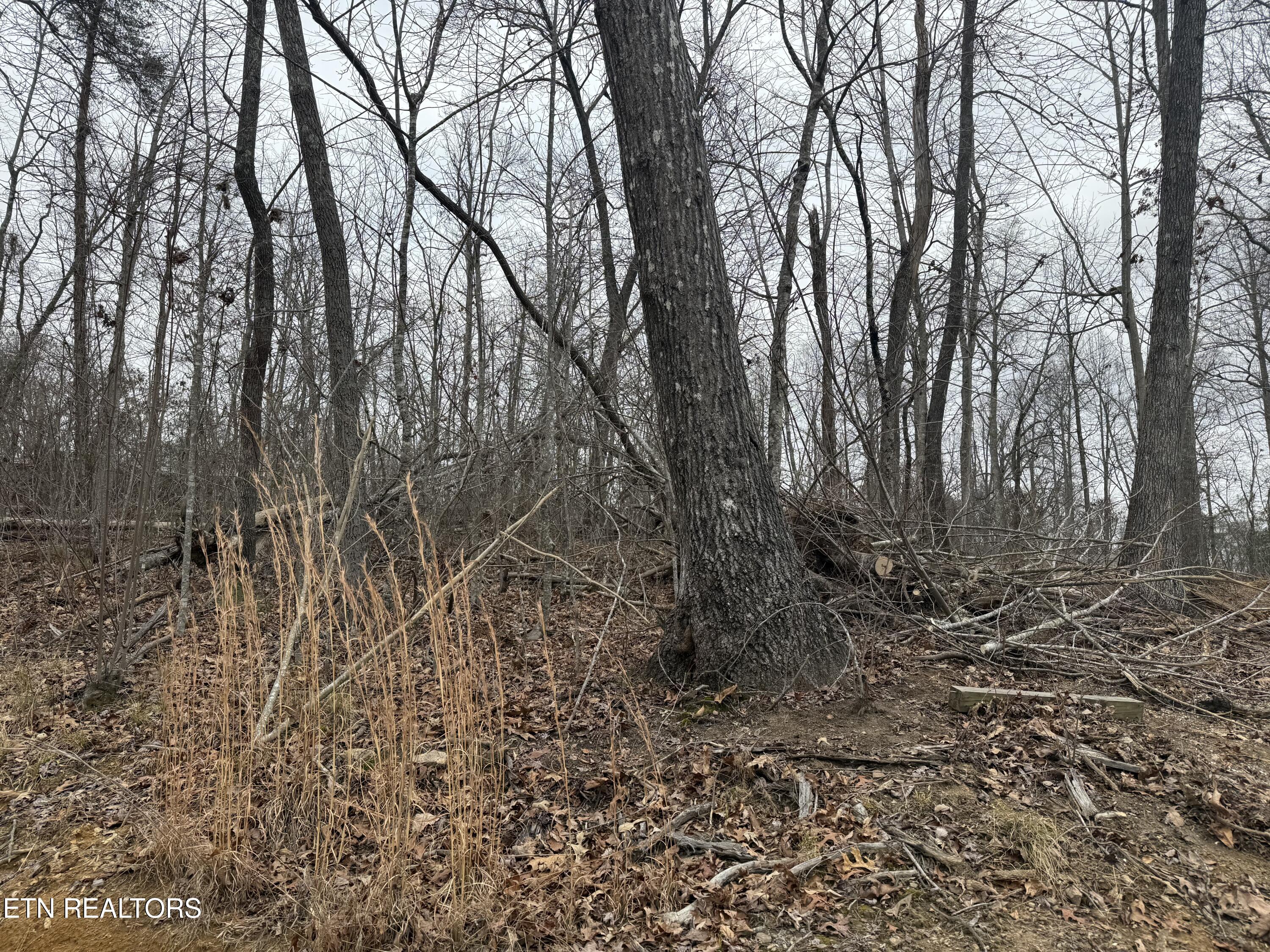 322 Deck Road Crossville, TN 38572 - Photo 7 of 16 IMG_2448