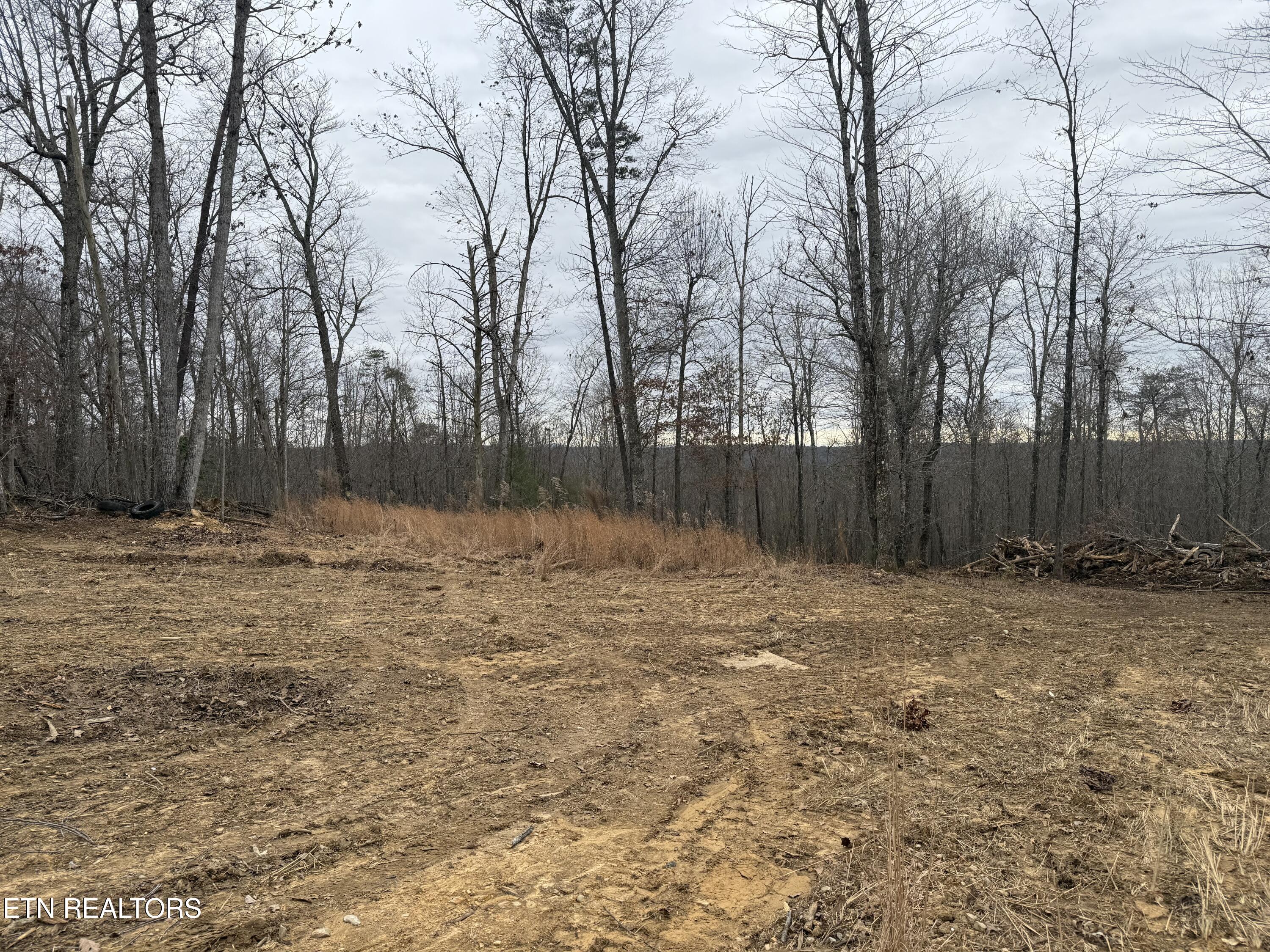 322 Deck Road Crossville, TN 38572 - Photo 8 of 16 IMG_2449