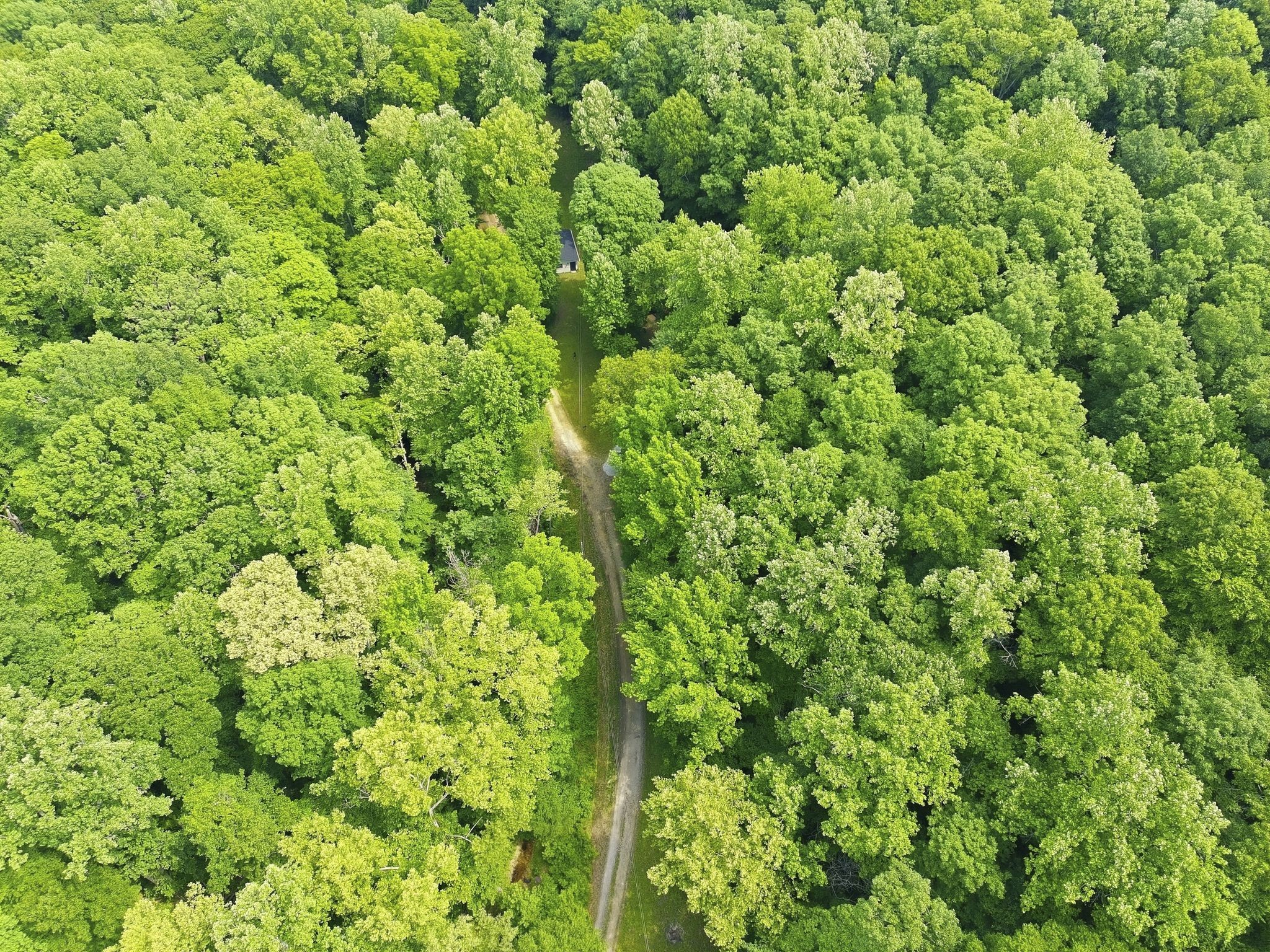 565 Clint Flowers Road McEwen, TN 37101 - Photo 48 of 51
