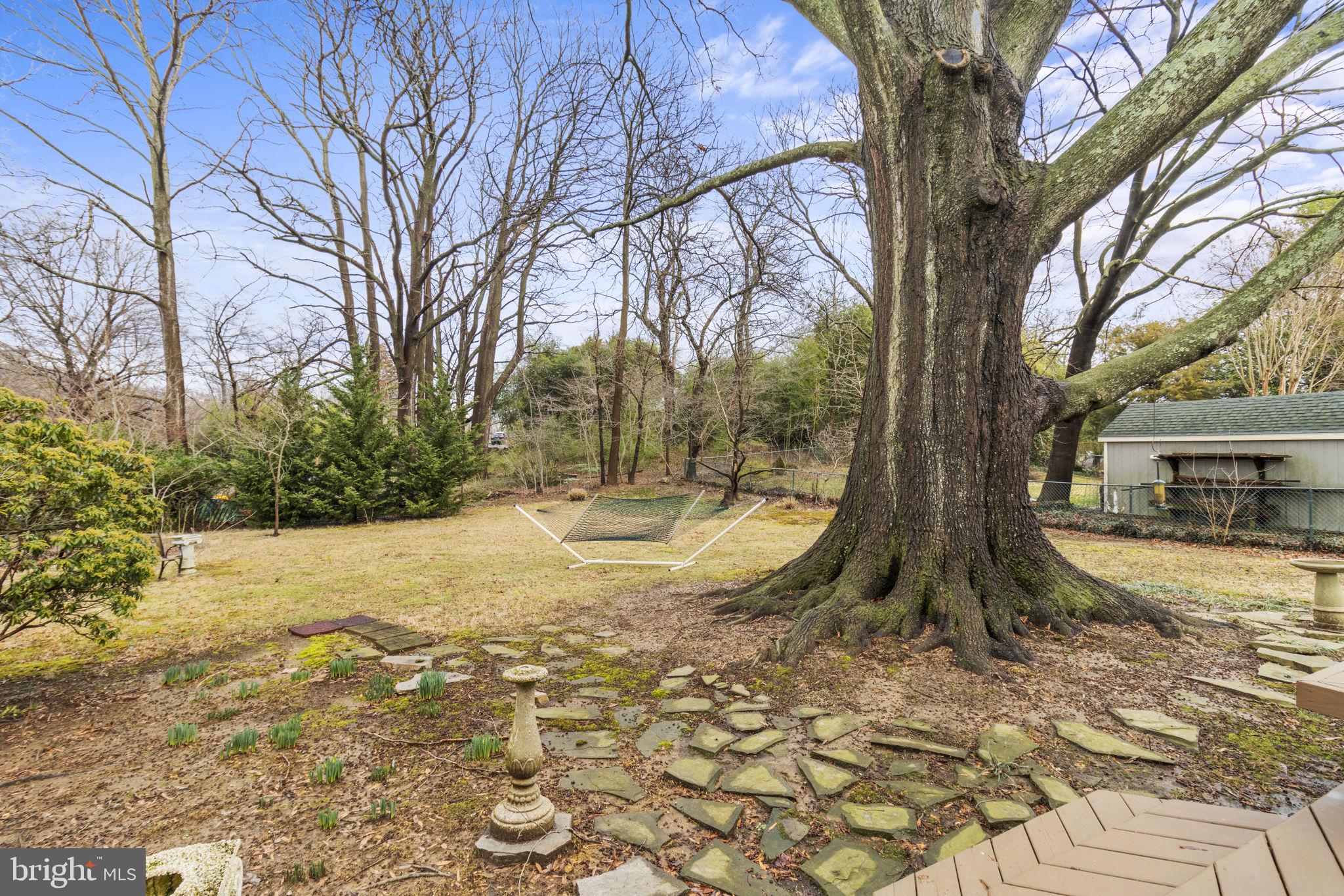 20 Baldridge Road Annapolis, MD 21401 - Photo 16 of 47 Stunning timeless pin oak ready for your climbers
