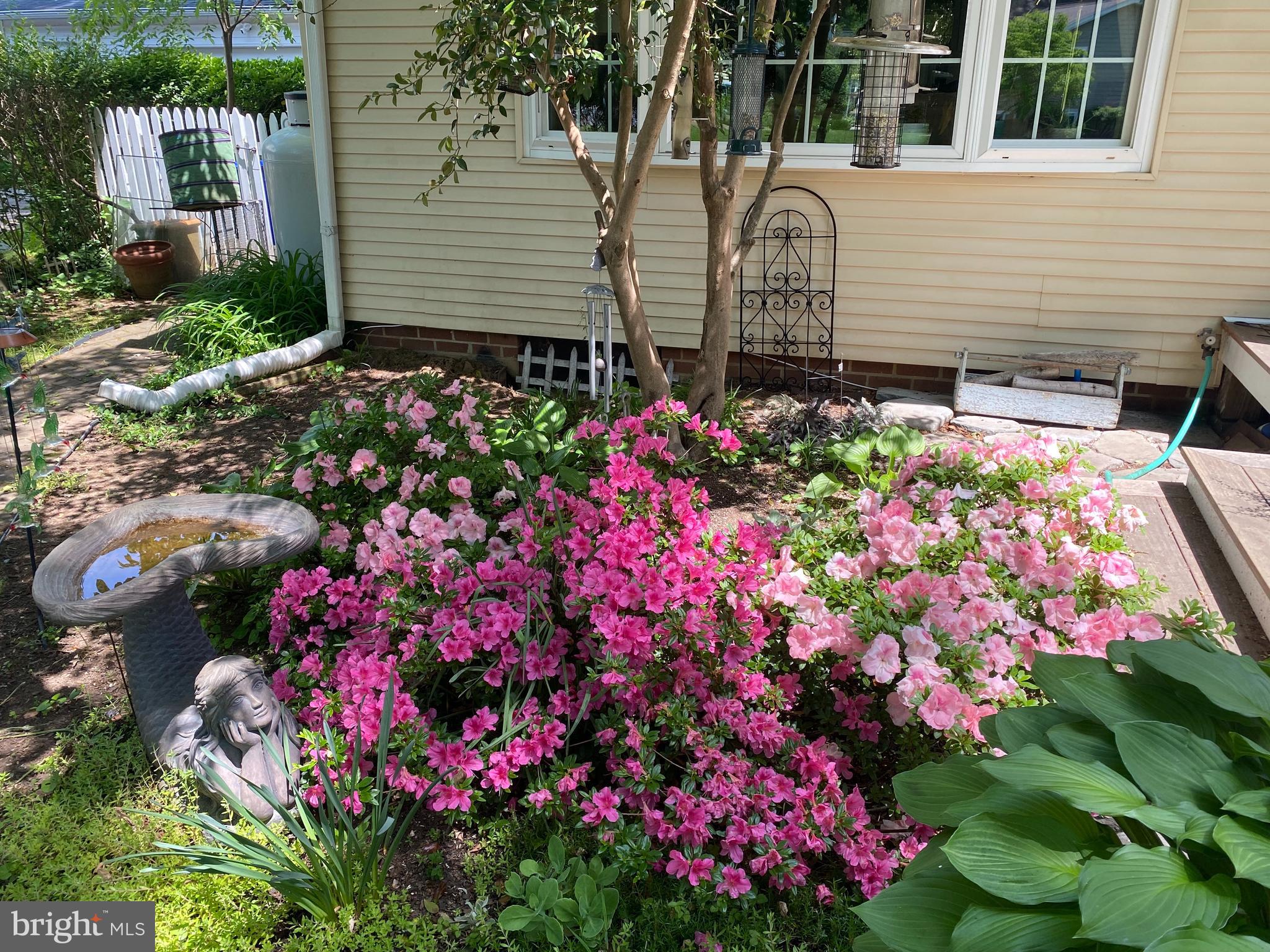 20 Baldridge Road Annapolis, MD 21401 - Photo 18 of 47 A little glimpse of Spring around the corner
