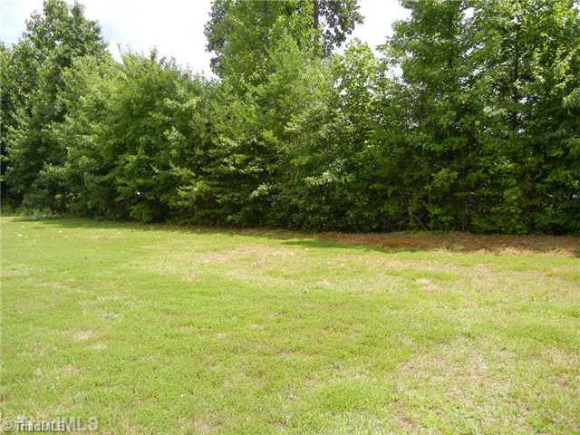 6925 Channel Forest Road Belews Creek, NC 27009 - Photo 15 of 16 Yard/Garden. Lush, level backyard to enjoy! The backdrop of trees provide nice privacy.