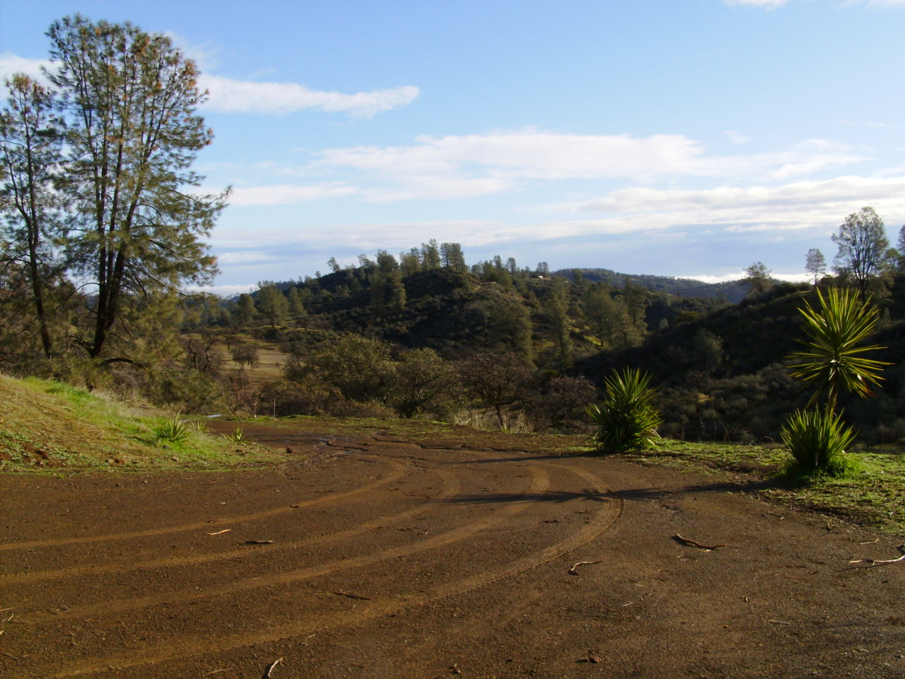3505 Yolla Bolly Road Igo, CA 96047 - Photo 5 of 8 Rolling hills
