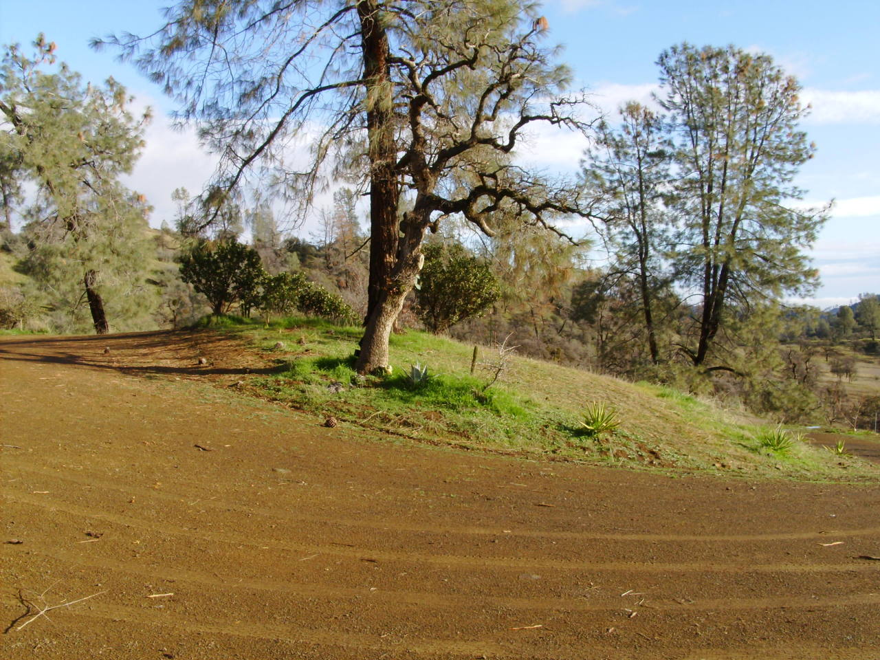 3505 Yolla Bolly Road Igo, CA 96047 - Photo 8 of 8 Part of driveway