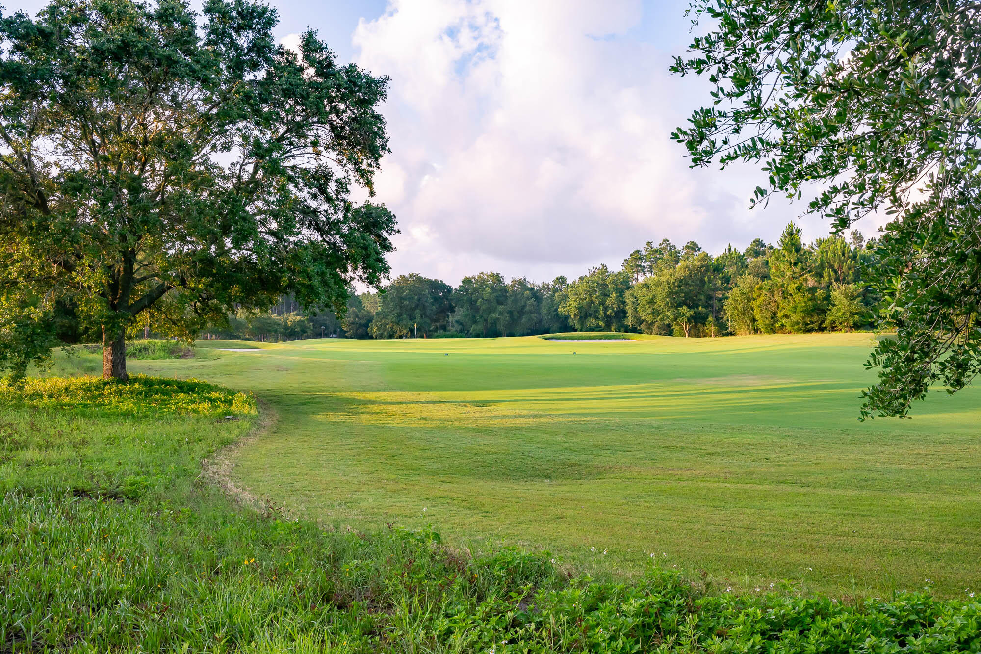 29 Pollard Cove, Unit LOT 3 Watersound, FL 32461 - Photo 49 of 69 a view of a big yard with a large trees
